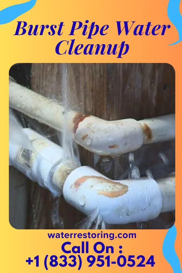 Burst Pipe Water Cleanup in Duluth, WA