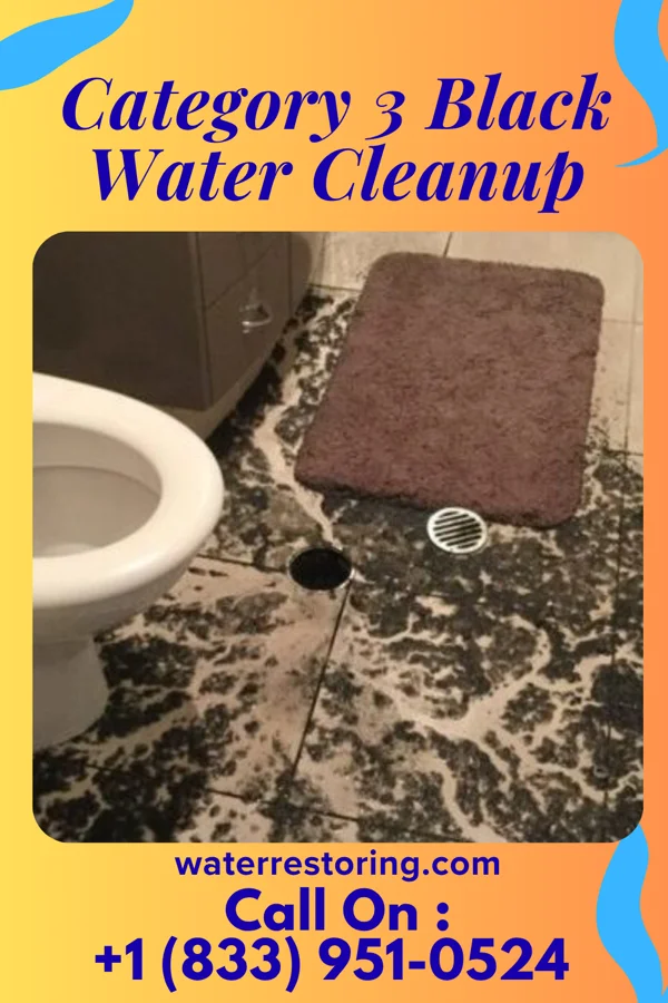 Category 3 Black Water Cleanup in Duluth, WA