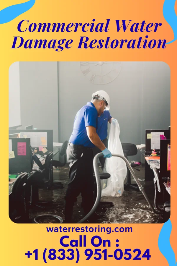 Commercial Water Damage Restoration in Duluth, WA