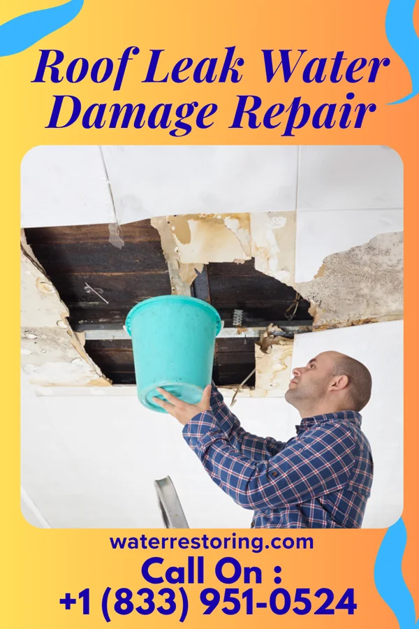 Roof Leak Water Damage Repair in Duluth, WA